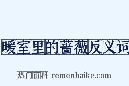 暖室里的蔷薇反义词是什么意思的图片